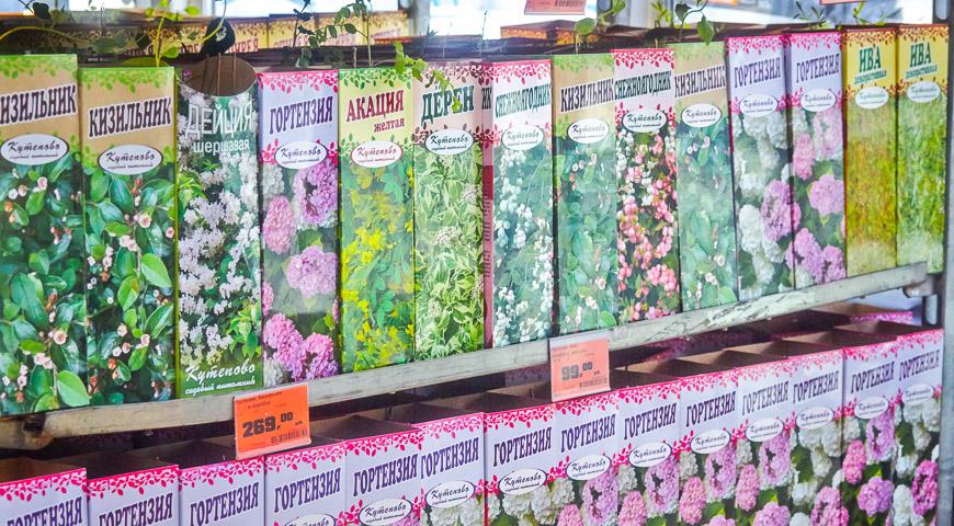 Садовод интернет магазин саженцев и семян выращивание конопли в открытом