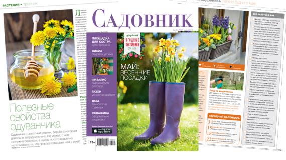 Читайте в свежем номере журнала "Садовник" май 2016 № 5 (132)