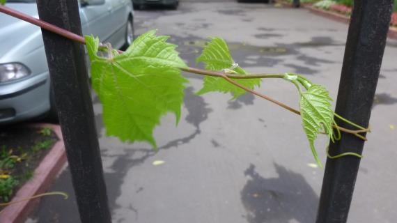 Красота и неожиданности