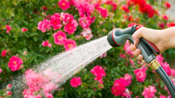 Шланги и насадки для полива