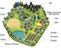 Основные принципы пермакультурного дизайна 