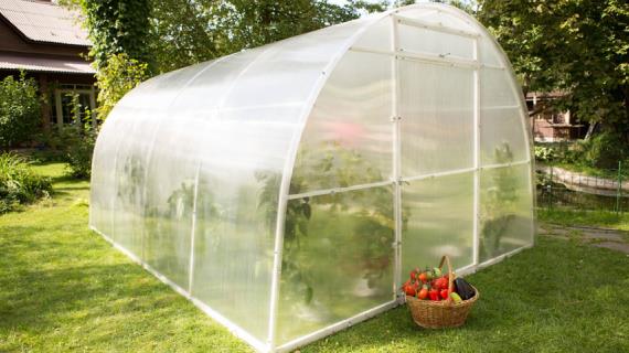 Выбираем сотовый поликарбонат для теплицы