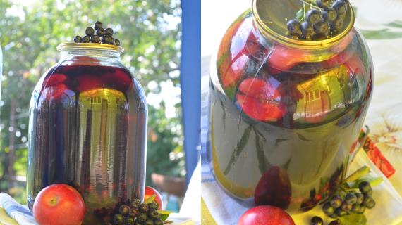 Компот из яблок и черноплодной рябины