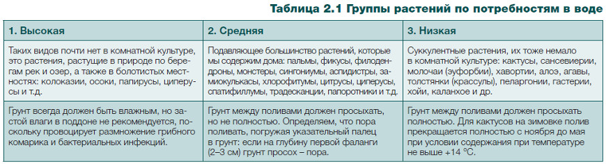 Подготовка комнатных растений к зиме