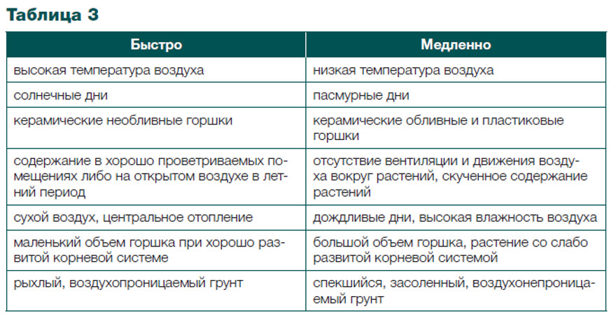 Как ухаживать за комнатными растениями зимой