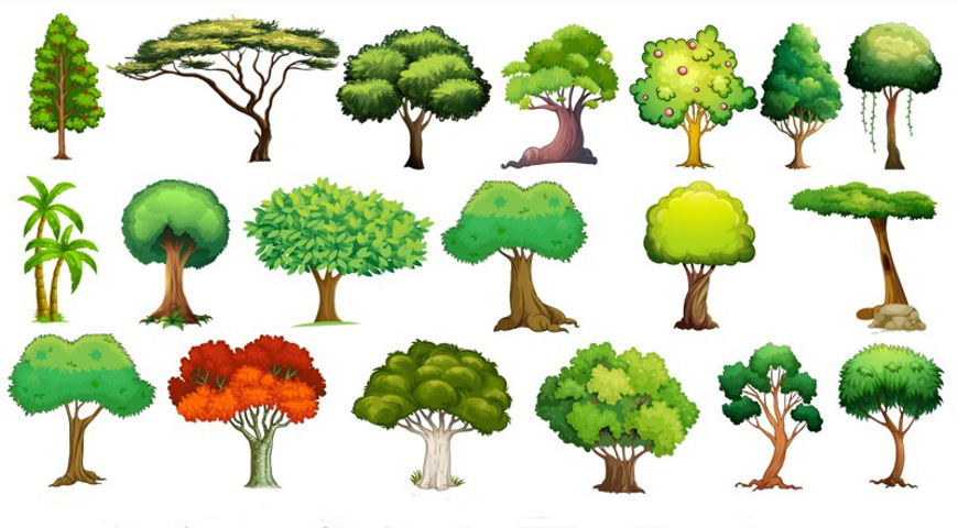 Деревья 