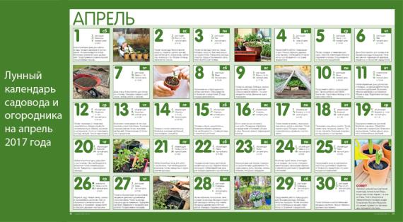 Лунный посевной календарь на апрель 2017 год
