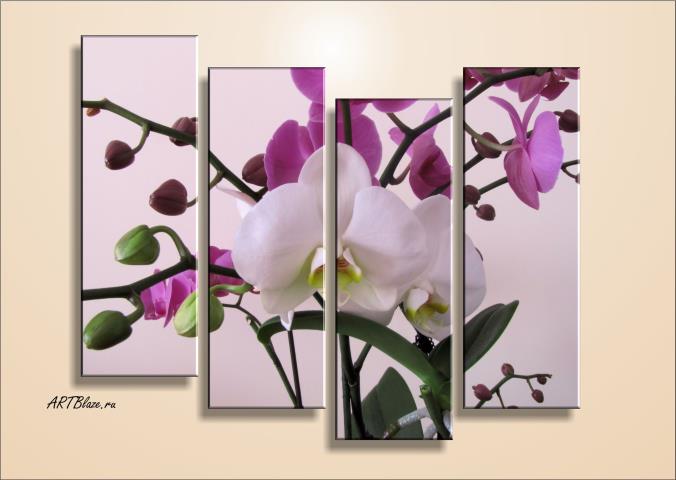 Орхидеи на модульных картинах