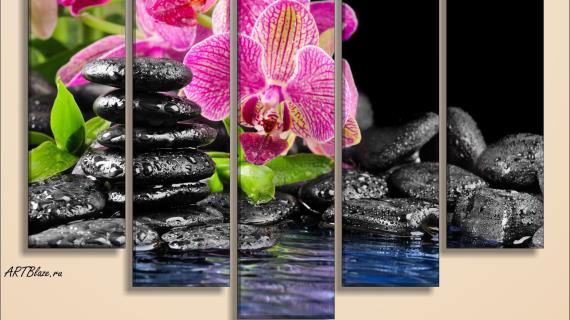 Орхидеи на модульных картинах