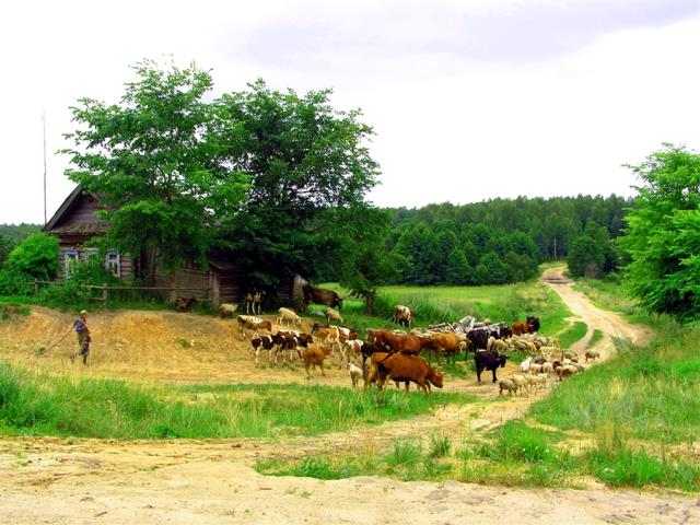 Красоты Российской деревни