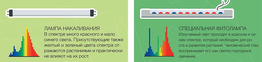 Фитолампы для растений, как правильно выбрать фитолампу и на сколько ее надо включать