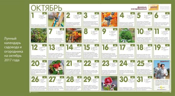 Лунный посевной календарь на октябрь 2017 год