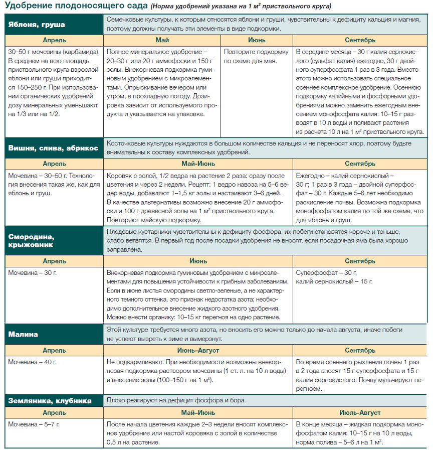 Как удобрять сад
