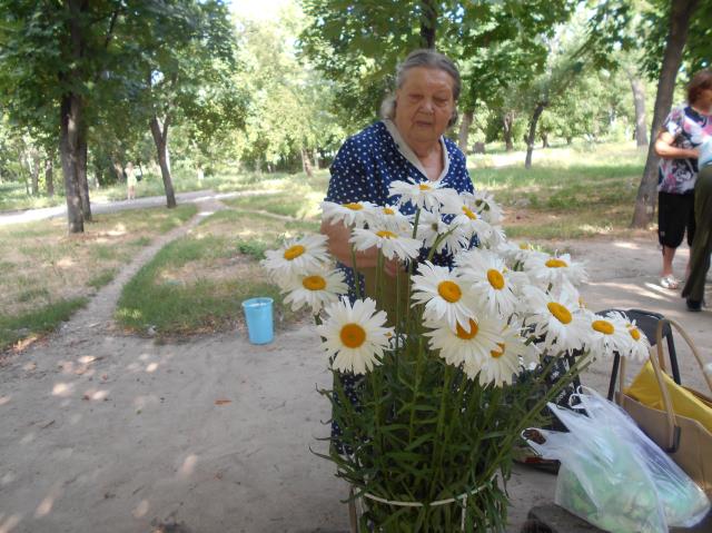 мои садовые красавцы