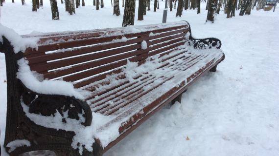 Зимний парк