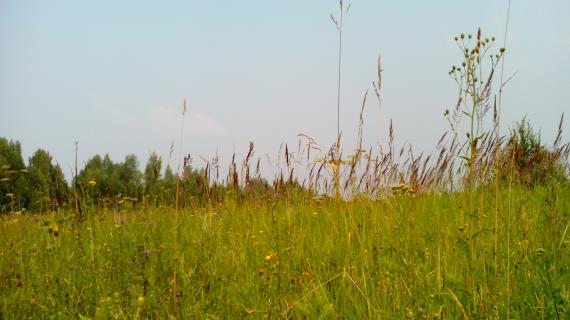 Бескрайние просторы