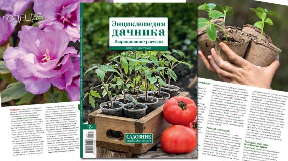 Книга-журнал февраль 2017 (16) Тема выпуска: Энциклопедия дачника. Выращивание рассады
