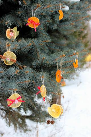 Цитрусовые в новогоднем декоре.