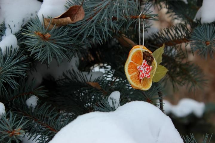 Цитрусовые в новогоднем декоре.