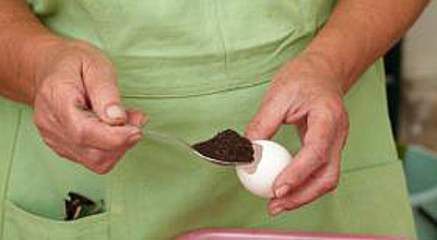 Рассада в яичных скорлупках. Шаг 2