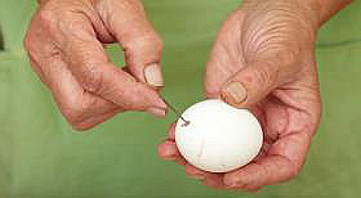 Рассада в яичных скорлупках. Шаг 1