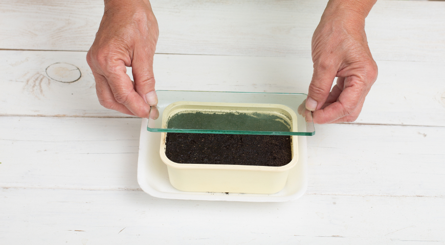 Укрываем семена для прорастания