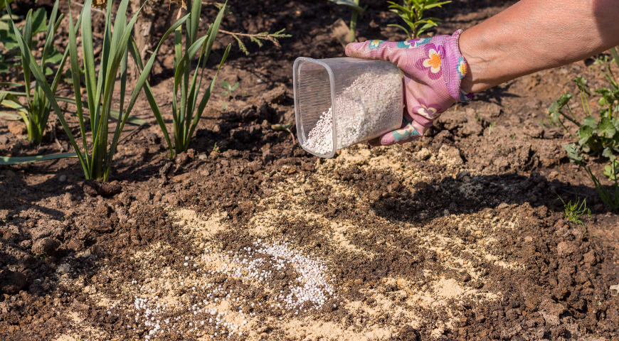 Внесение удобрений