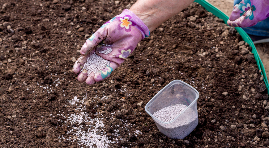 Удобрение грунта перед посадкой
