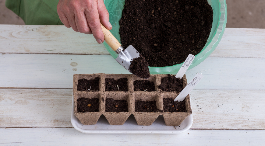 Присыпка семян грунтом