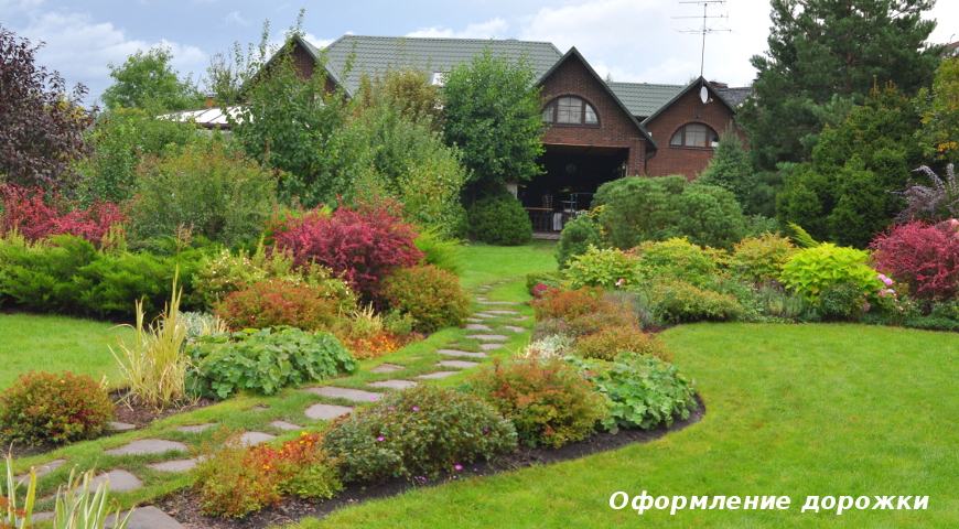 Кустарники в дизайне