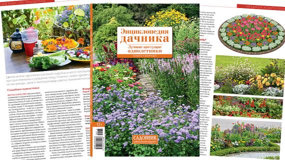 Книга-журнал март 2017 (18): Энциклопедия дачника. Лучшие цветущие однолетники
