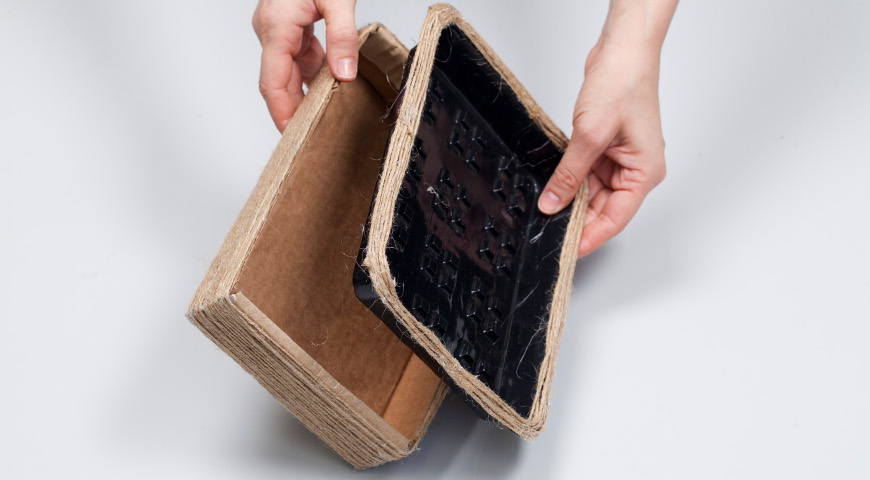 Мастер-класс лук на зелень, 