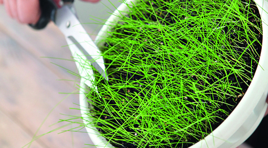 пасхальная полянка