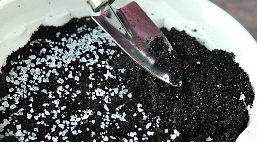 пасхальная полянка