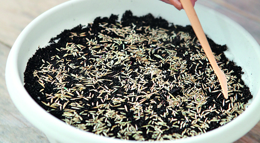 пасхальная полянка