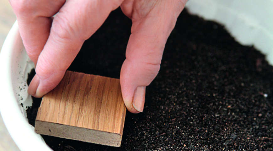 пасхальная полянка