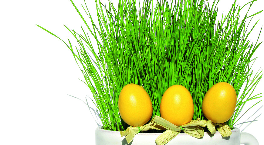 Пасхальная полянка