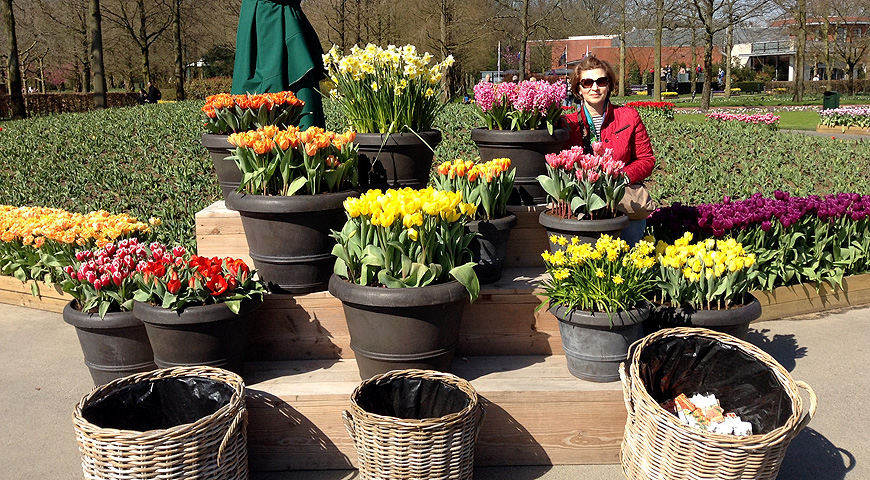 Кекенхоф - 2017 (Keukenhof - 2017)