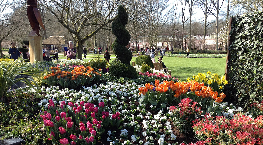 Кекенхоф - 2017 (Keukenhof - 2017)