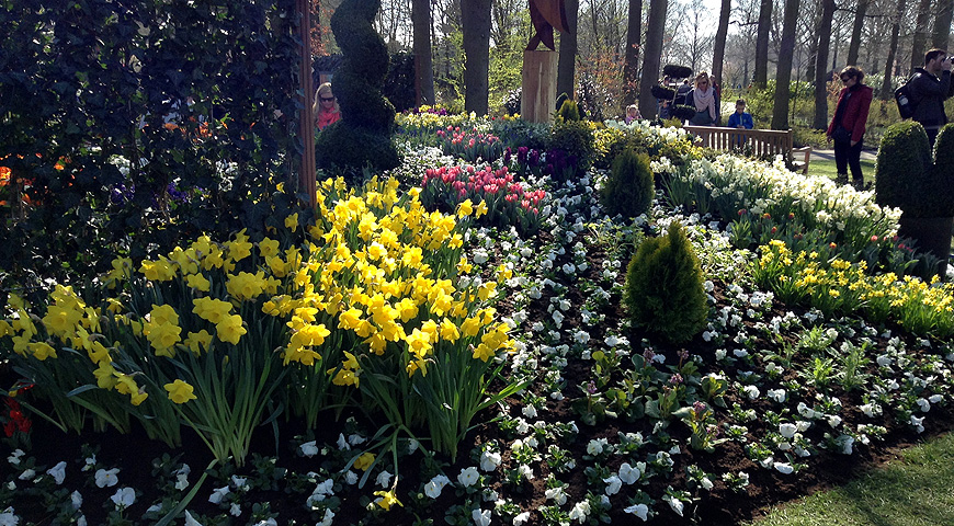 Кекенхоф - 2017 (Keukenhof - 2017)