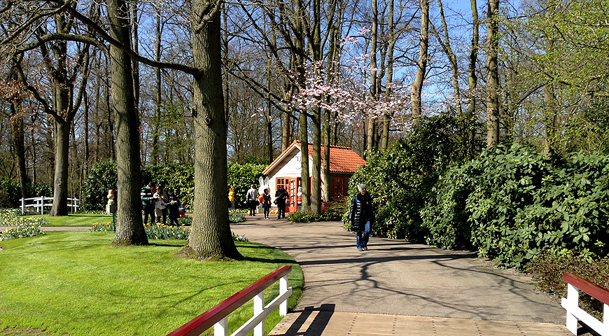 Кекенхоф - 2017 (Keukenhof - 2017)