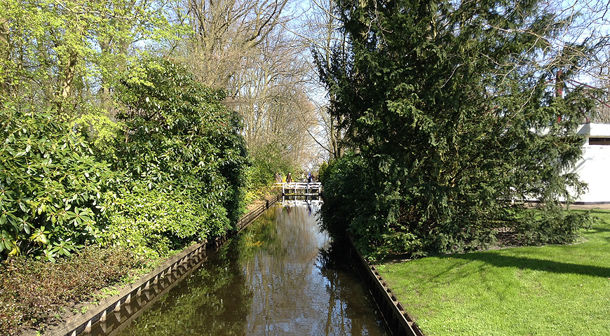 Кекенхоф - 2017 (Keukenhof - 2017)