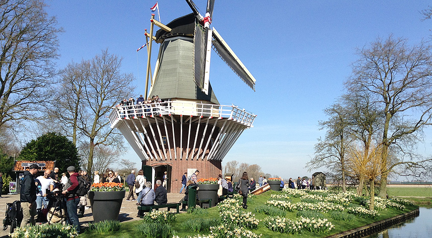 Кекенхоф - 2017 (Keukenhof - 2017)