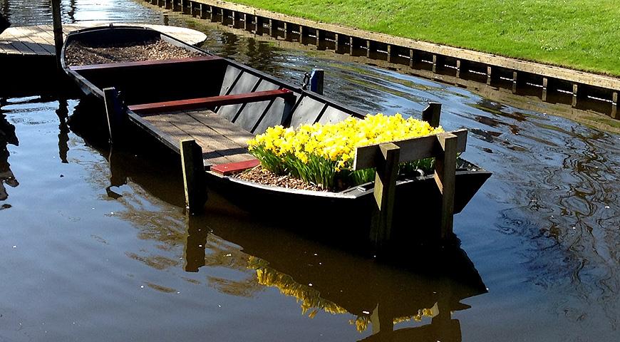 Кекенхоф - 2017 (Keukenhof - 2017)