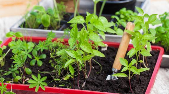 Поздравляем победителей!