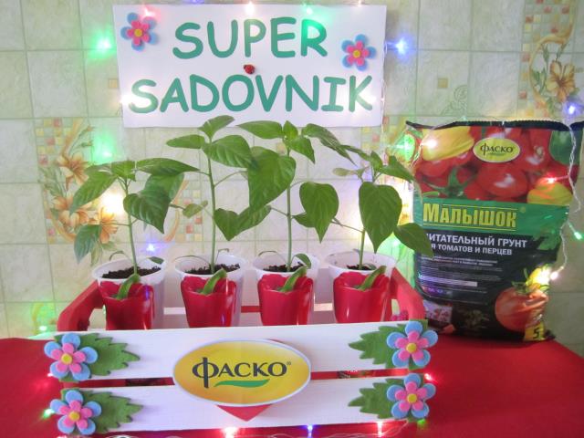 Квадро Ред+SUPERSADOVNIK+Фаско=Отличный урожай!!!!! 
