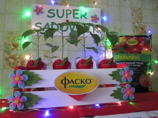 Квадро Ред+SUPERSADOVNIK+Фаско=Отличный урожай!!!!! 2
