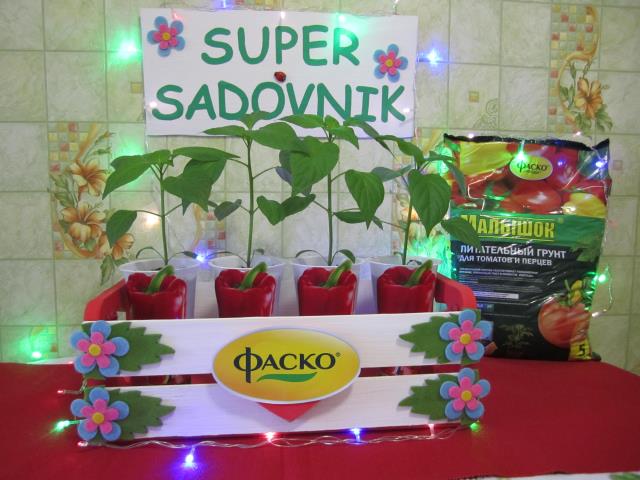 Квадро Ред+SUPERSADOVNIK+Фаско=Отличный урожай!!!!! 7