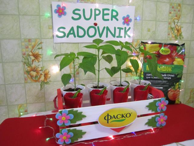 Квадро Ред+SUPERSADOVNIK+Фаско=Отличный урожай!!!!! 5