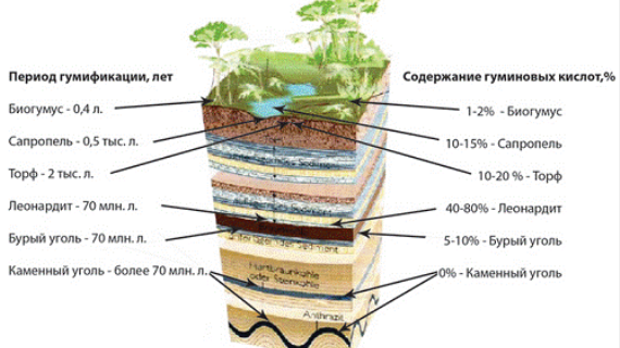 Производство и применение гуматов калия из сапропеля или торфа